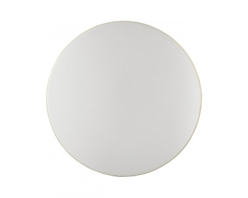 Оформить заказ Накладной светильник Sonex 3066/AL| VIVID-LIGHT.RU