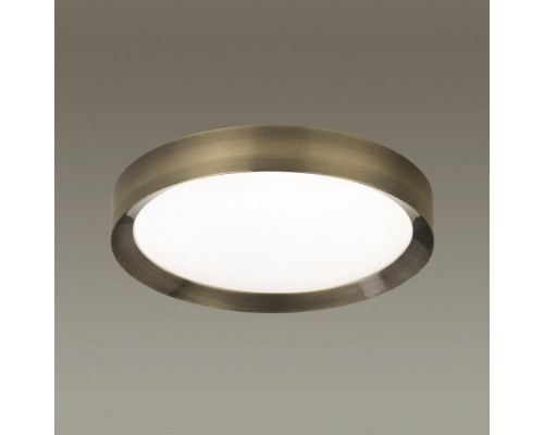 Сделать заказ Накладной светильник Odeon Light 4948/45CL| VIVID-LIGHT.RU