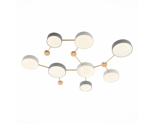 Заказать Накладной светильник Evoluce SLE600102-08| VIVID-LIGHT.RU