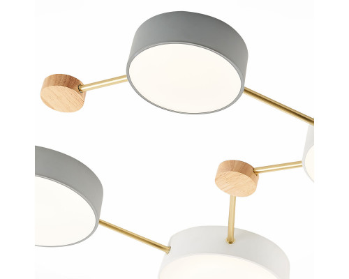 Заказать Накладной светильник Evoluce SLE600102-08| VIVID-LIGHT.RU