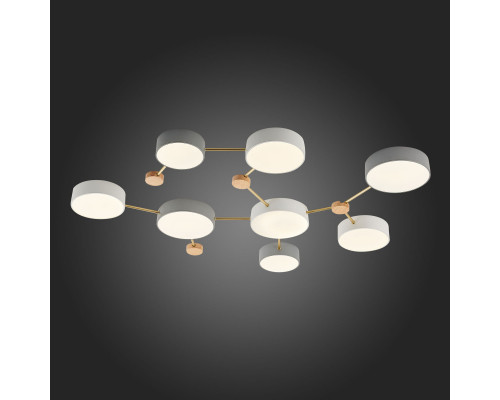 Заказать Накладной светильник Evoluce SLE600102-08| VIVID-LIGHT.RU