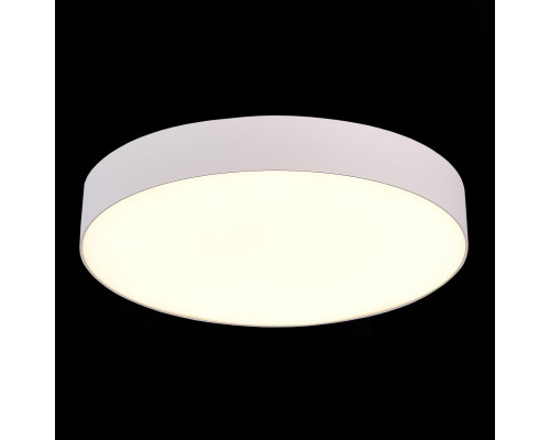 Оформить заказ Накладной светильник ST-Luce ST606.532.48| VIVID-LIGHT.RU