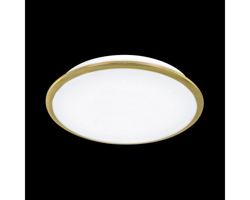 Купить Накладной светильник Citilux CL70342| VIVID-LIGHT.RU