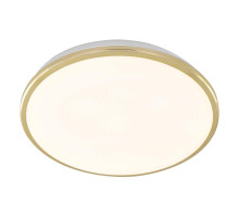 Накладной светильник Citilux CL702302W
