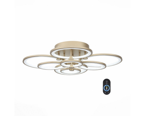 Заказать Накладной светильник ST-Luce SL867.202.08| VIVID-LIGHT.RU