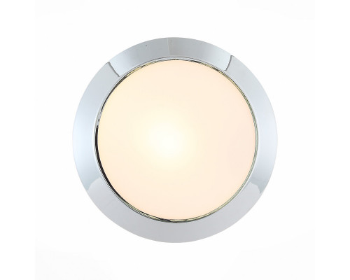 Заказать Накладной светильник ST-Luce SL469.502.01| VIVID-LIGHT.RU