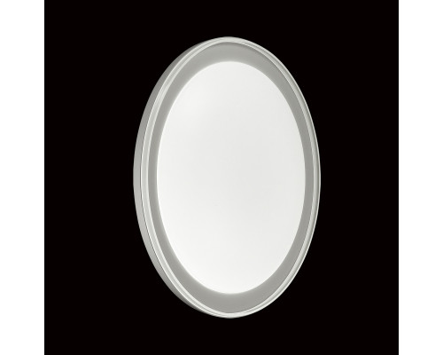 Оформить заказ Накладной светильник Sonex 2049/EL| VIVID-LIGHT.RU