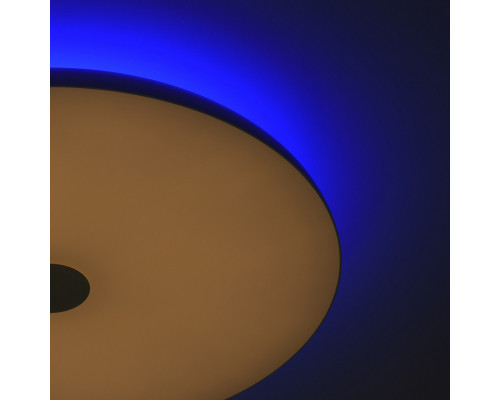 Сделать заказ Накладной светильник DeMarkt 660012901| VIVID-LIGHT.RU