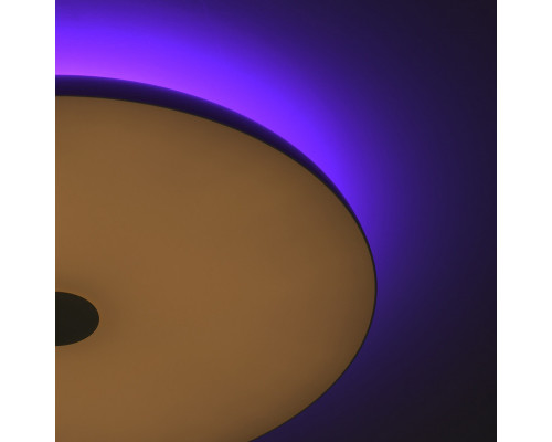 Сделать заказ Накладной светильник DeMarkt 660012901| VIVID-LIGHT.RU