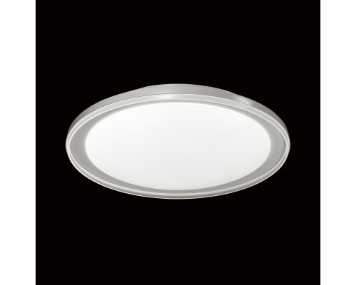 Оформить заказ Накладной светильник Sonex 2049/EL| VIVID-LIGHT.RU