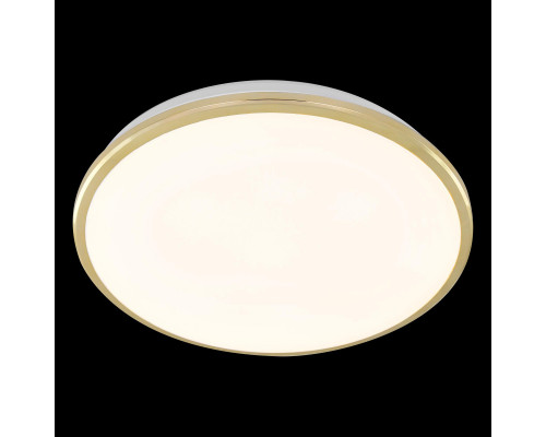 Заказать Накладной светильник Citilux CL702302W| VIVID-LIGHT.RU