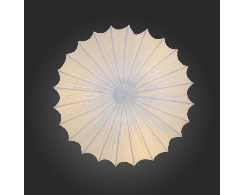 Оформить заказ Накладной светильник ST-Luce SL351.052.05| VIVID-LIGHT.RU