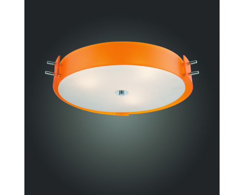 Оформить заказ Накладной светильник ST-Luce SL484.092.06| VIVID-LIGHT.RU