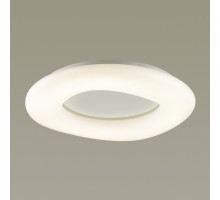 Накладной светильник Odeon Light 4064/108CL