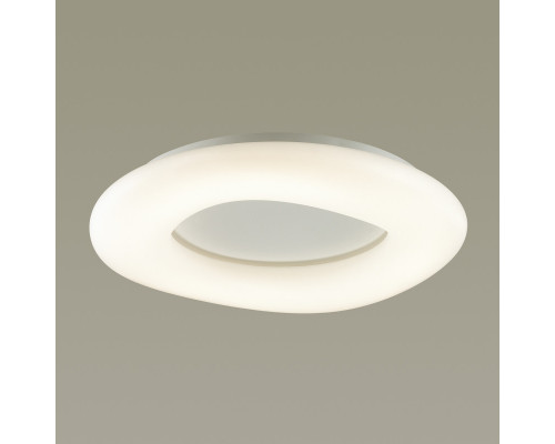 Заказать Накладной светильник Odeon Light 4064/108CL| VIVID-LIGHT.RU