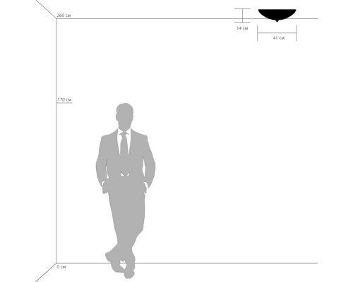 Оформить заказ Накладной светильник Lightstar 820244| VIVID-LIGHT.RU