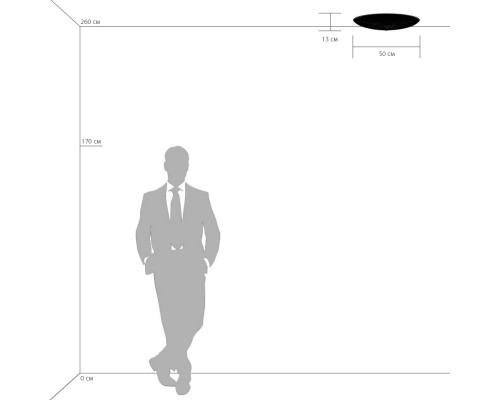 Сделать заказ Накладной светильник Lightstar 820840| VIVID-LIGHT.RU