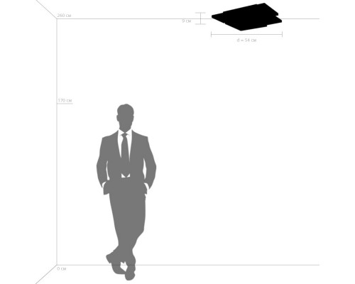 Сделать заказ Накладной светильник Lightstar 749071| VIVID-LIGHT.RU