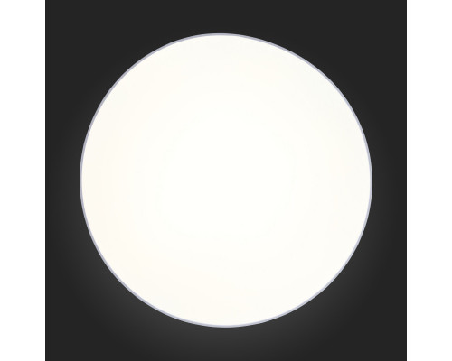 Купить Накладной светильник ST-Luce SL417.512.01| VIVID-LIGHT.RU