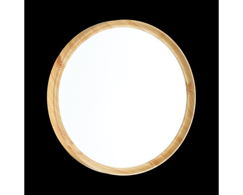 Оформить заказ Накладной светильник Sonex 3019/DL| VIVID-LIGHT.RU