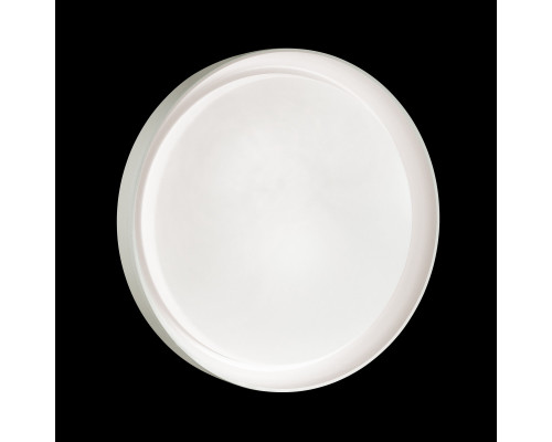 Сделать заказ Накладной светильник Sonex 3030/DL| VIVID-LIGHT.RU