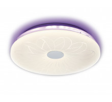 Накладной светильник Ambrella Light F79 PU 96W D540