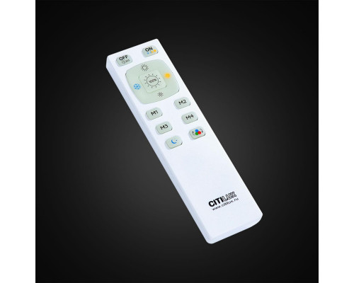 Сделать заказ Накладной светильник Citilux CL703102RGB| VIVID-LIGHT.RU