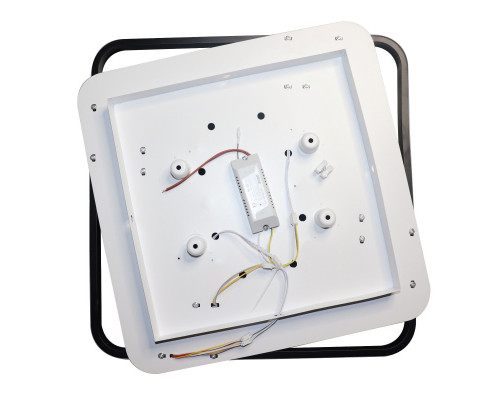 Сделать заказ Накладной светильник Natali Kovaltseva 81038/4C| VIVID-LIGHT.RU