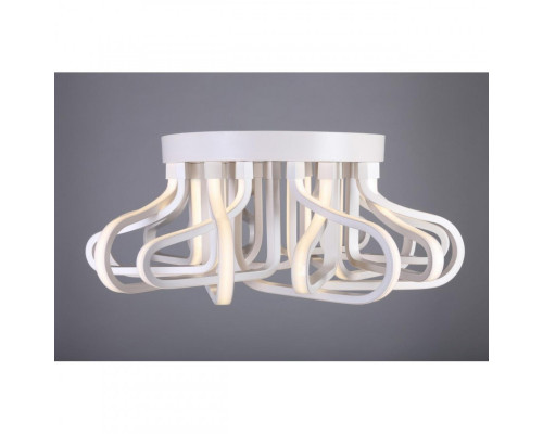 Сделать заказ Накладной светильник Omnilux OML-48007-192| VIVID-LIGHT.RU