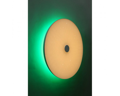 Сделать заказ Накладной светильник Omnilux OML-47317-48| VIVID-LIGHT.RU