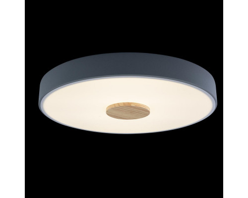 Оформить заказ Накладной светильник LOFT IT 10003/24 Grey| VIVID-LIGHT.RU