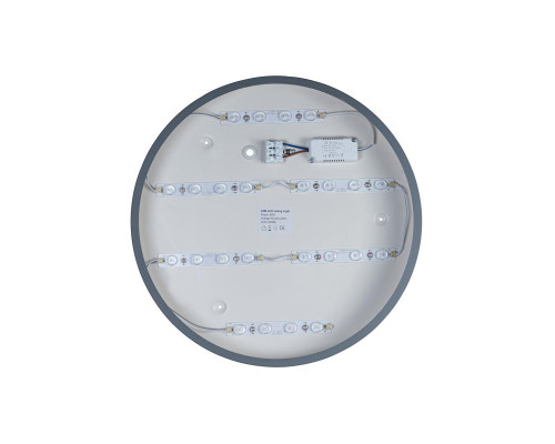 Оформить заказ Накладной светильник LOFT IT 10003/24 Grey| VIVID-LIGHT.RU