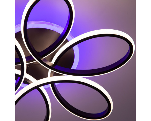 Оформить заказ Накладной светильник Citilux CL233A250E| VIVID-LIGHT.RU