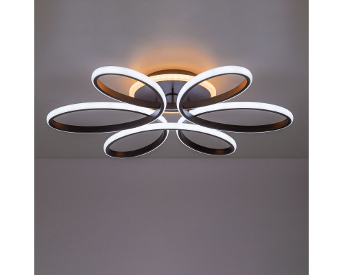 Оформить заказ Накладной светильник Citilux CL233A250E| VIVID-LIGHT.RU