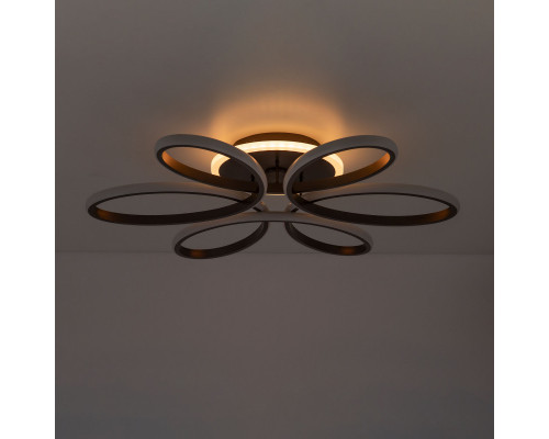 Оформить заказ Накладной светильник Citilux CL233A250E| VIVID-LIGHT.RU