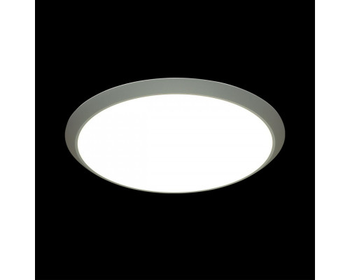 Оформить заказ Накладной светильник Sonex 3063/50L| VIVID-LIGHT.RU