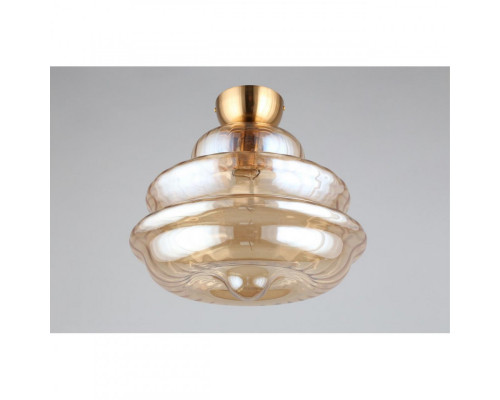 Оформить заказ Накладной светильник APLOYT APL.303.17.01| VIVID-LIGHT.RU