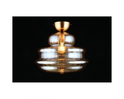 Оформить заказ Накладной светильник APLOYT APL.303.17.01| VIVID-LIGHT.RU