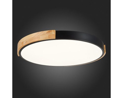 Заказать Накладной светильник Evoluce SLE201342-01| VIVID-LIGHT.RU