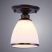 Заказать Накладной светильник ARTE Lamp A9518PL-1BA| VIVID-LIGHT.RU