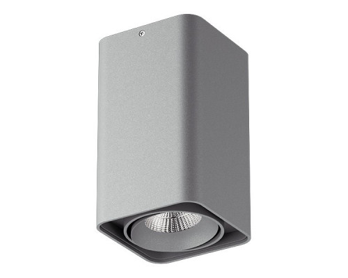 Сделать заказ Накладной светильник Lightstar 212539| VIVID-LIGHT.RU