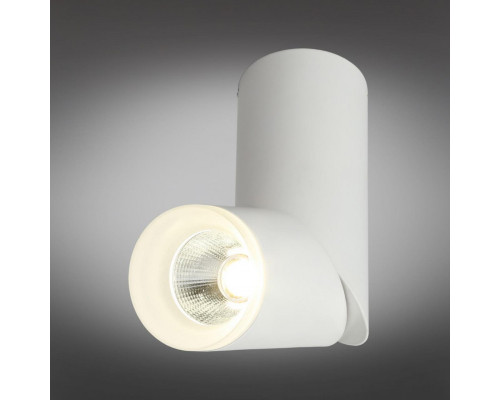 Сделать заказ Накладной светильник Omnilux OML-100209-10| VIVID-LIGHT.RU