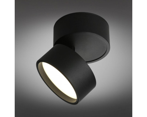 Оформить заказ Накладной светильник Omnilux OML-101319-12| VIVID-LIGHT.RU