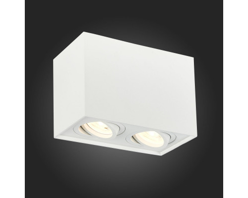 Сделать заказ Накладной светильник ST-Luce ST109.507.02| VIVID-LIGHT.RU