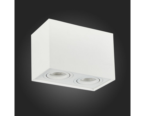 Сделать заказ Накладной светильник ST-Luce ST109.507.02| VIVID-LIGHT.RU