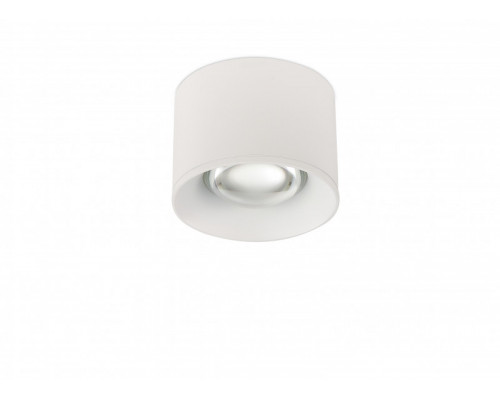Оформить заказ Накладной светильник SYNEIL 2059-LED12CLW| VIVID-LIGHT.RU