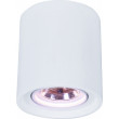 Накладной светильник ARTE Lamp A9262PL-1WH