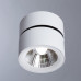 Сделать заказ Накладной светильник Divinare 1295/03 PL-1| VIVID-LIGHT.RU