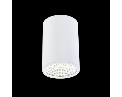 Оформить заказ Накладной светильник Citilux CL558100| VIVID-LIGHT.RU