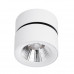 Сделать заказ Накладной светильник Divinare 1295/03 PL-1| VIVID-LIGHT.RU